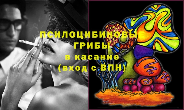 бошки Алексеевка