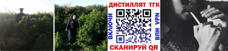Дистиллят ТГК гашишное масло  Арсеньев 