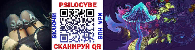 Псилоцибиновые грибы Psilocybe  блэк спрут рабочий сайт  Арсеньев 