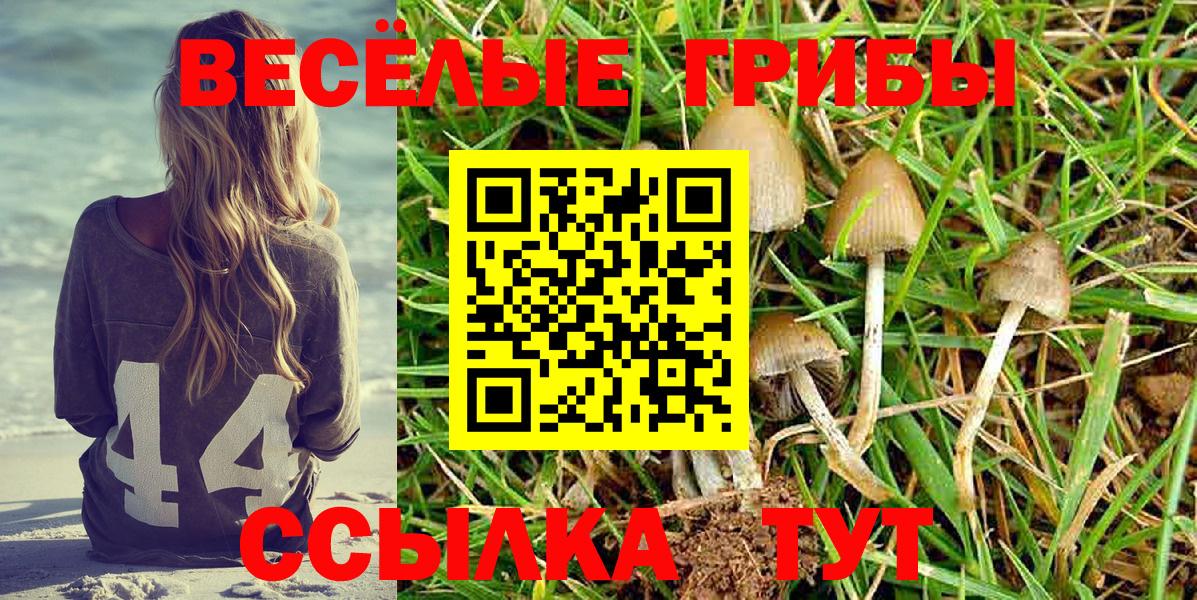 Псилоцибиновые грибы MAGIC MUSHROOMS  Вход с VPN  закладка  Арсеньев 